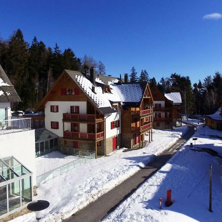 Antela, 142 M2 Appartment For 12 Person In Mariborsko Pohorje Hocko Pohorje Luaran gambar